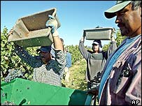 Trabalhadores latino-americanos nos EUA