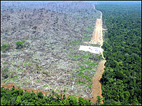 Devastação na Amazônia, foto cortesia: Greenpeace