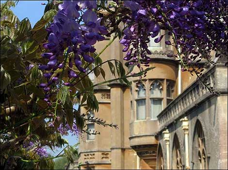 Tyntesfield May '08 -  picture by Glyn Marsh