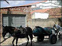 Carro pipa na Paraíba