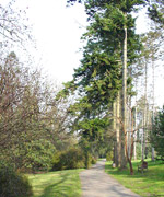 Gerddi Clun, Abertawe.