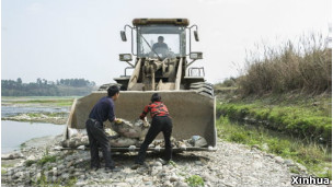 四川发现千只死鸭