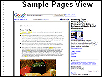 Google'ın son projesinin örnek sayfası