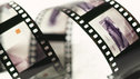 A strip of celluloid film