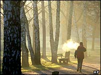 Árvores plantadas em sepulturas