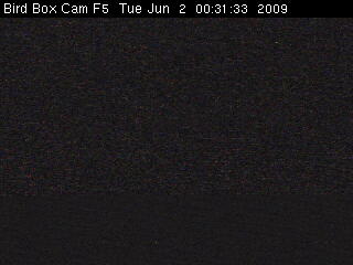 BBC Staffordshire Nest Box