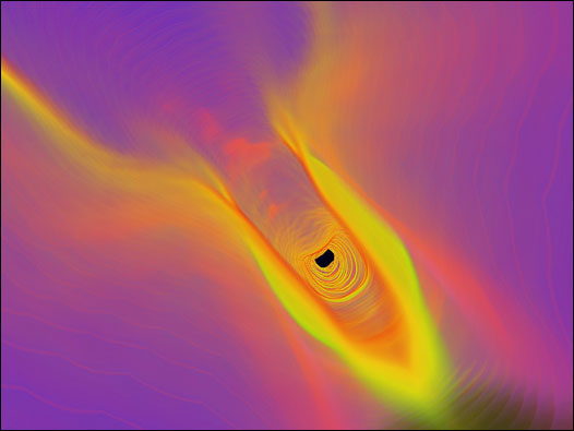 Cordas vocais (Foto: Cortesia Dr. Kai-hung Fung)