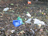 Rubbish discovered on the beach