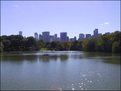 کامران نجفی