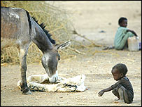 दारफ़ुर के शरणार्थी चाड में