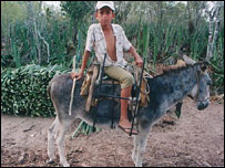 Criança em uma lavoura