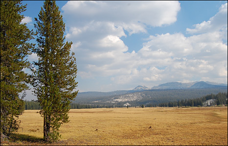 Công viên Yosemite
