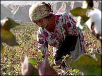 कपास किसान