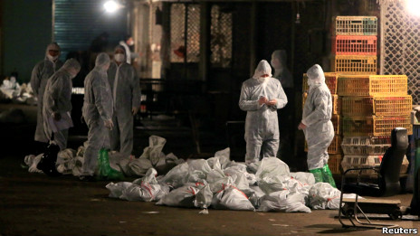 上海批發市場(5/4/2013)