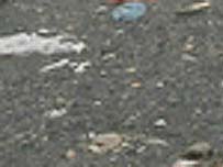 mar poluído na costa da China