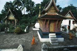 Uzbekistan A new silk road with both horses and cars making use of it.