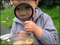 Looking for bugs, photo courtesy National Trust