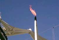 Teimlo gwres y  fflam Olympaidd