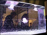 Leds dentro de plástico impermeável iluminam aquário