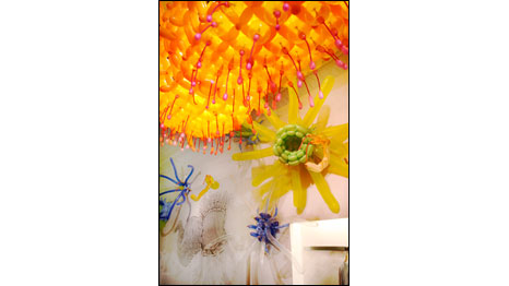 (Foto: Jason Hackenwerth)