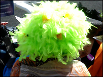 Could this be the 'Face of Royal Ascot'?