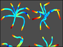 ثبت حرکت مکان نما