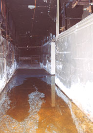 water in the basement at high tide