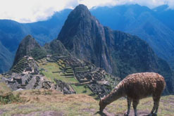 Machu Picchu, Peru - South America