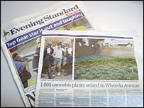 Báo Anh đưa tin về vụ truy quét ổ trồng cần sa có người Việt tham gia