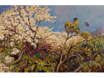 Blodeuo'r ddraenen du, gan Philippa Jacobs