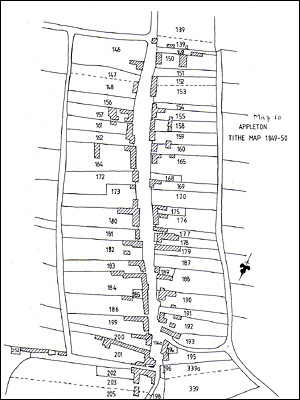 Appleton-le-Moors village layout