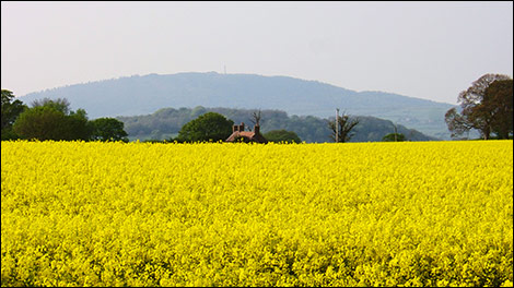 The Wrekin from Broseley - Liz Challinor