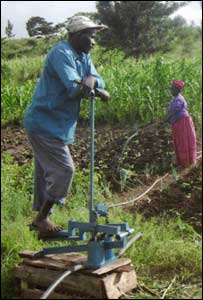کشاورزان آفريقايی