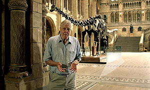 Sir David Attenborough appears in the BBC iPlayer campaign