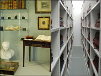 The Newcastle collection and special book stacks