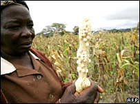 یک زن زیمبابوه ای