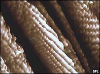 Carbon nanotube