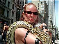 Gay em parada de Nova York