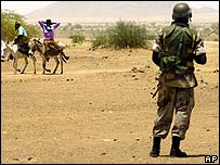 صلحبان اتحاديه آفريقا در دارفور 