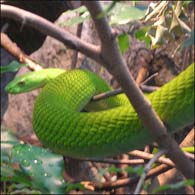 © anothersarah/flickr.com