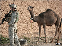 یک سرباز ناتو در هلمند