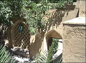 عکس از محمد صالحی