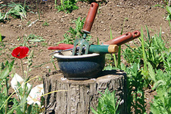 picture courtesy of Clintriter at creative commons at flickr.com