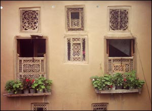 عکس از مهدی کوکبی