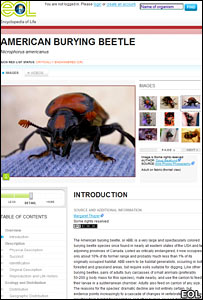 Página da enciclopédia