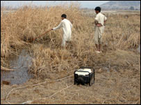 ماهی گيری با شارتی برق