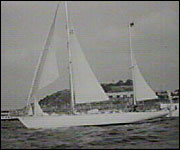 Gipsy Moth IV