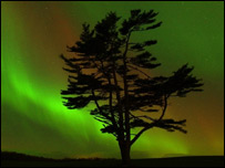 ऑरोरा बोरिएलिस