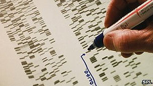 DNA | Crédito da foto: SPL