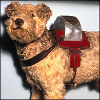 Laddie photo by kind permission of the National Railway Museum, York